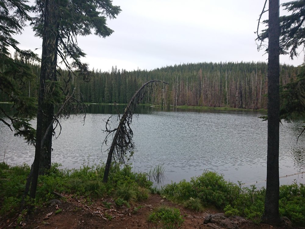  The horrible mosquito lake I camped at 
