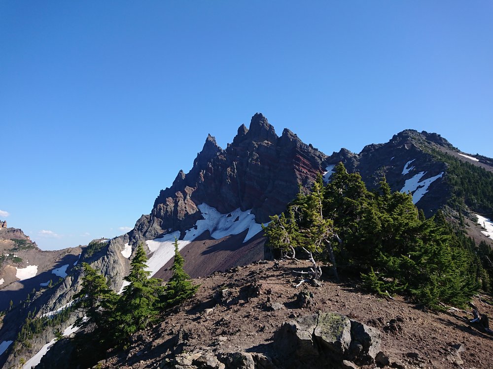  Three Fingered Jack 