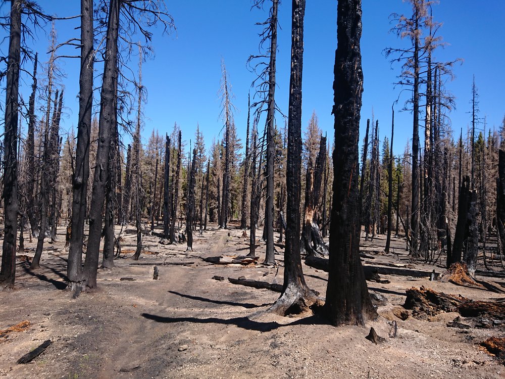  Large burn area before Mazama Village 