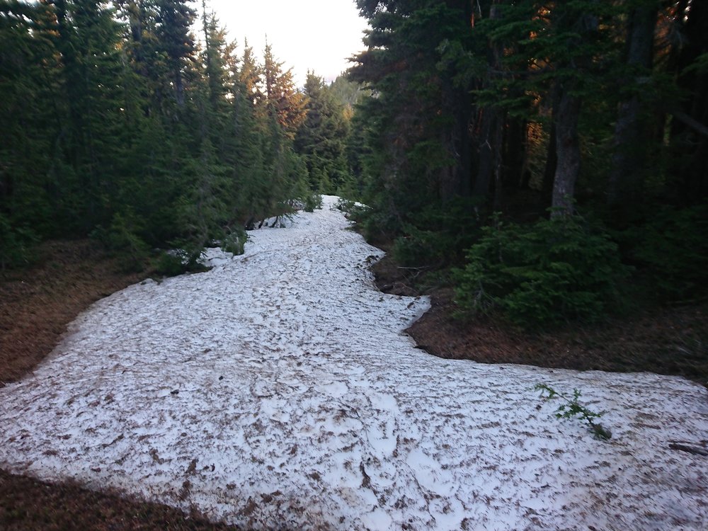  There were a few big snow patches to cross today 