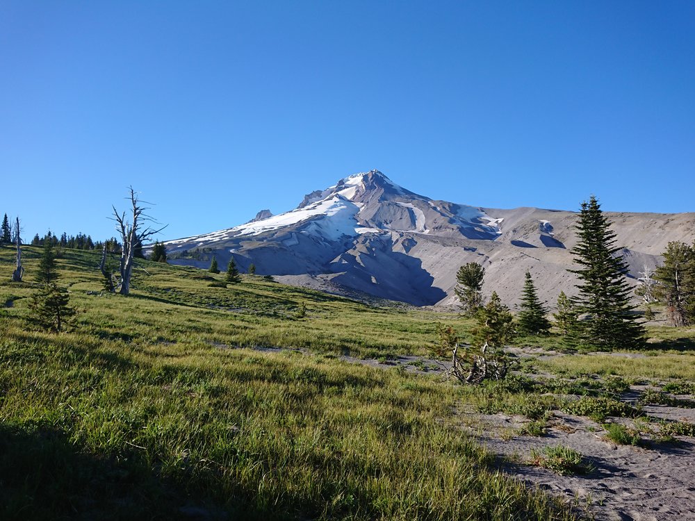  As I finally got above the treeline I could see Mt Hood clearly 