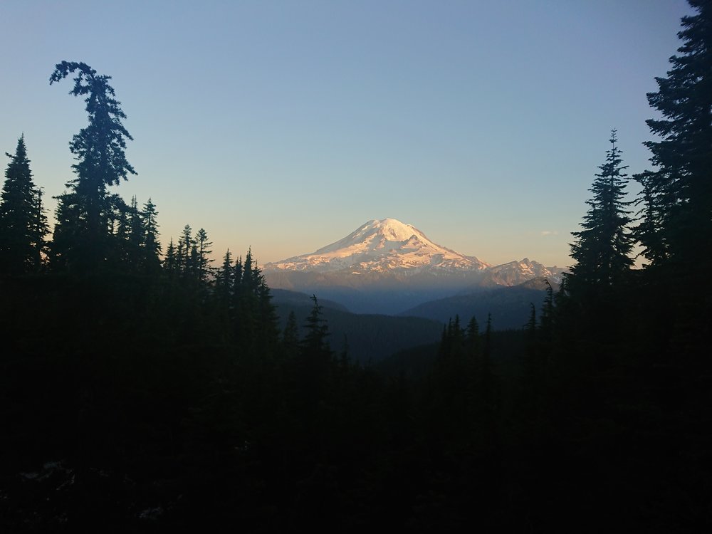  Mount Rainer in sunrise colors 