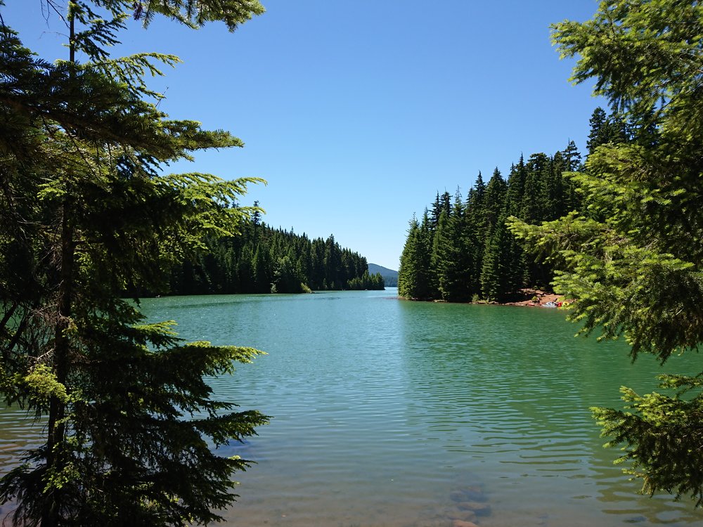  Timothy Lake where I had lunch 