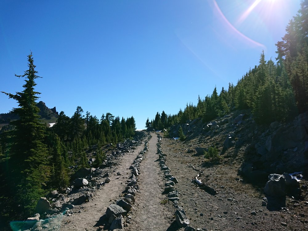  A well maintained part of the Rim Trail 