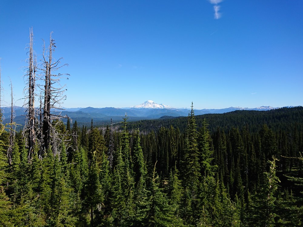  Looking back at Mount Hood I believe 