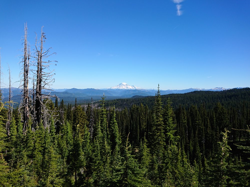 Looking back at Mount Hood I believe