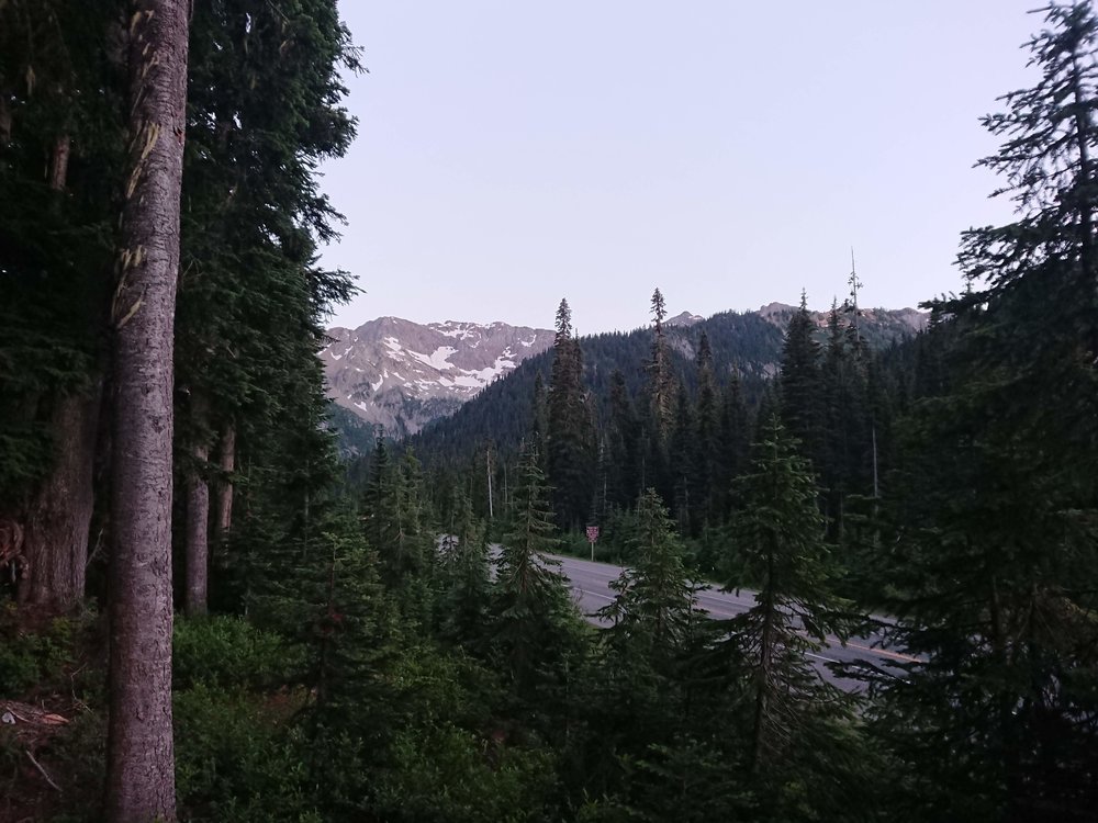  The view from my camp near a highway 